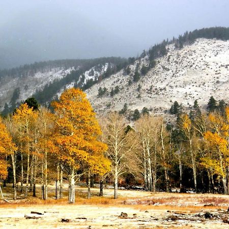 New Listing 2Br 2Ba Condo - Mountain Views Aspen Kültér fotó