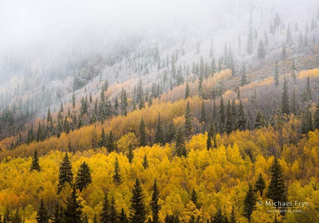 New Listing 2Br 2Ba Condo - Mountain Views Aspen Kültér fotó