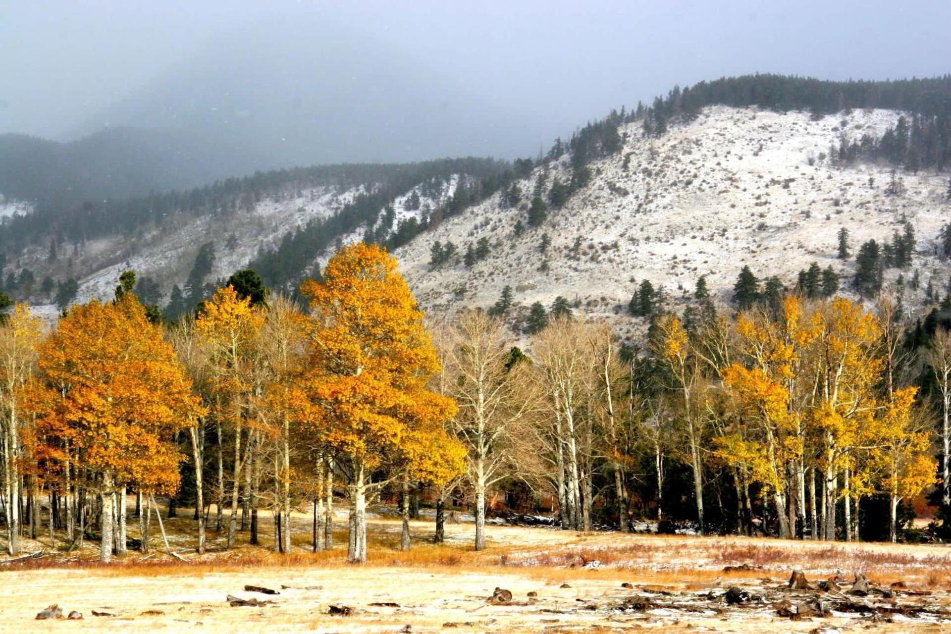 New Listing 2Br 2Ba Condo - Mountain Views Aspen Kültér fotó