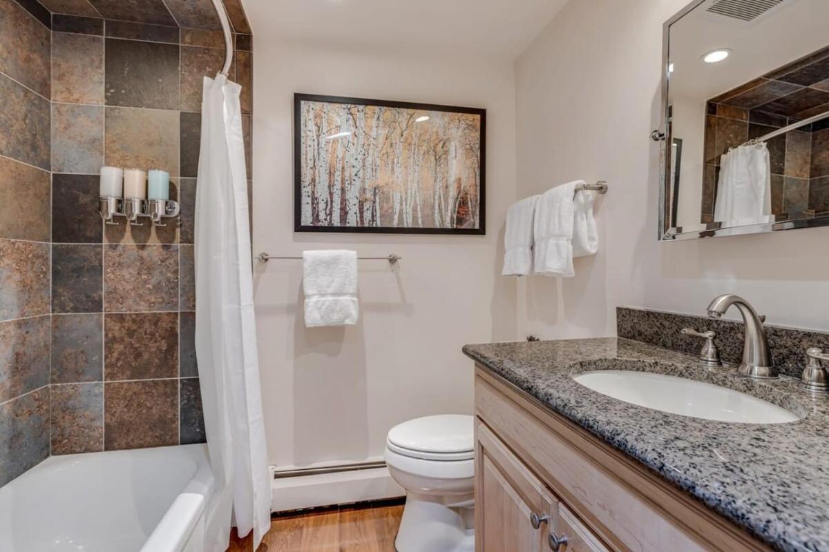 New Listing 2Br 2Ba Condo - Mountain Views Aspen Kültér fotó